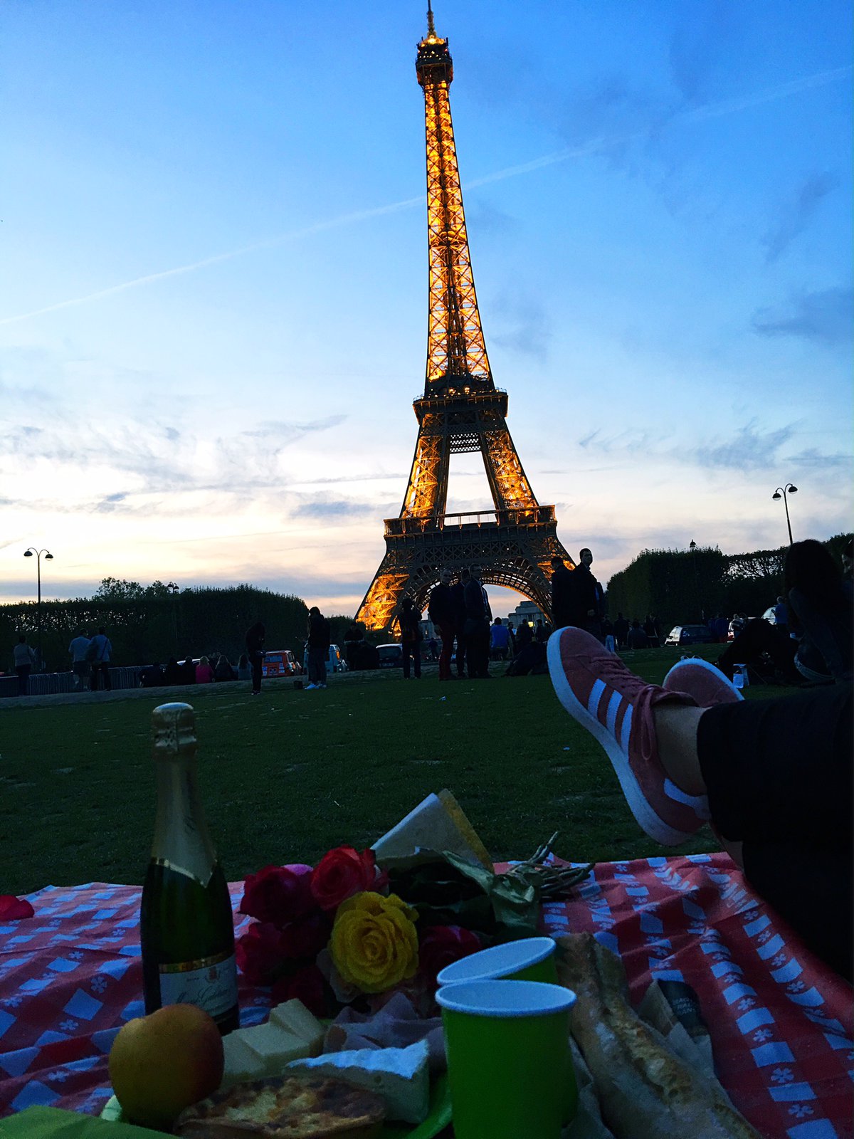 eiffel tower picnic 